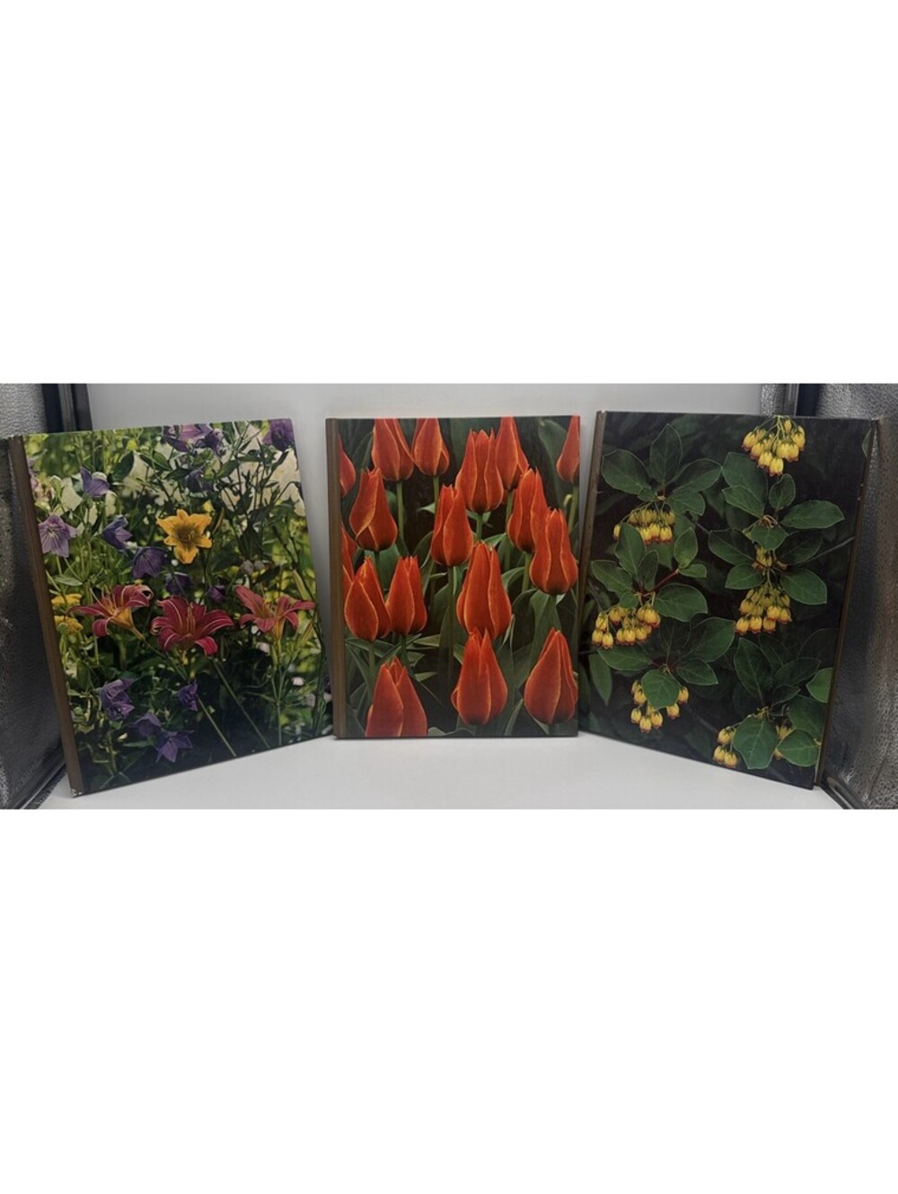 Vintage Time Life Encyclopedia Of Gardening Books Lot Of 3 Perennials 1970s